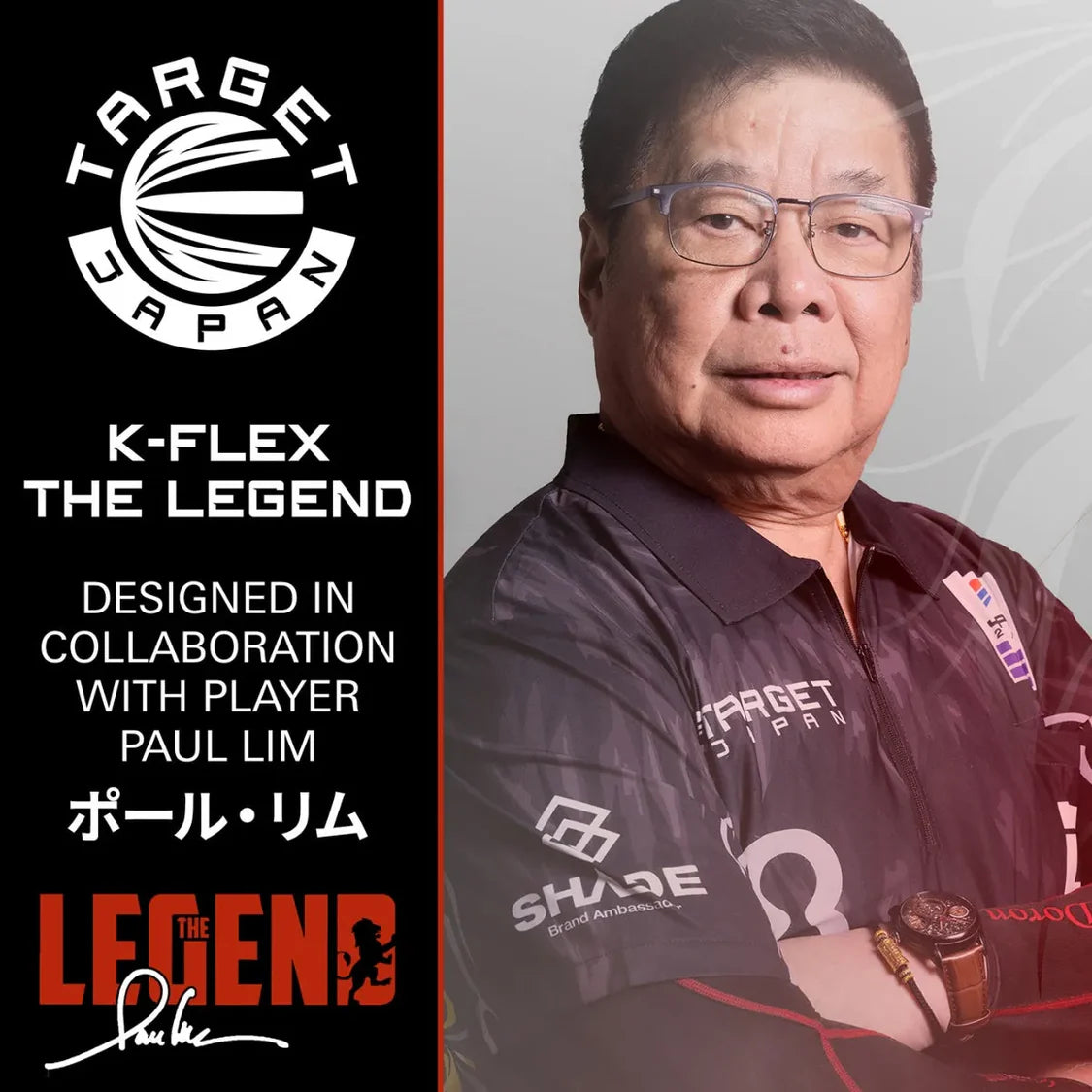 Target Japan Paul Lim The Legend K-Flex No2 Dart Flights