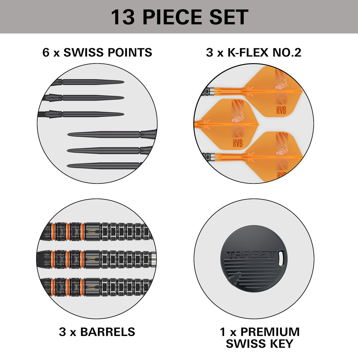 Target Raymond Van Barneveld 95K 95% Tungsten Swiss Point Steel Tip Dart Set