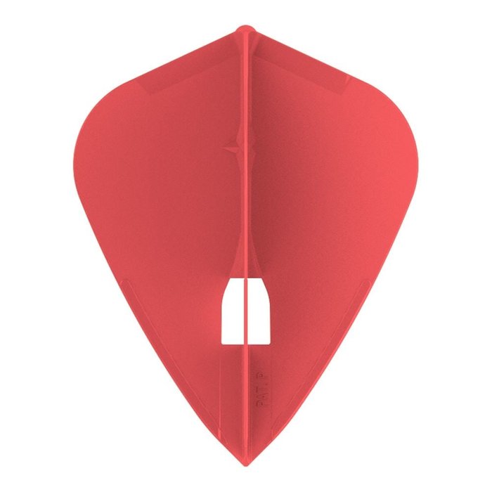 L-Style L4PRO Kite Flight
