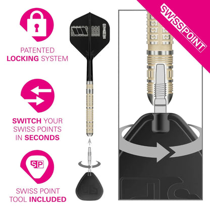 Target Dimitri Van Den Bergh 95K 95% Tungsten Swiss Point Steel Tip Dart Set