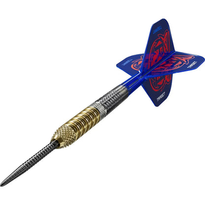Target Raymond Van Barneveld Gen 6 95% Tungstem Swiss Point Steel Tip Dart Set