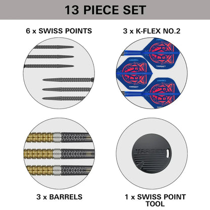 Target Raymond Van Barneveld Gen 6 95% Tungstem Swiss Point Steel Tip Dart Set